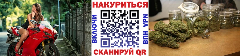 где продают   Каменка  Бошки Шишки ГИДРОПОН 